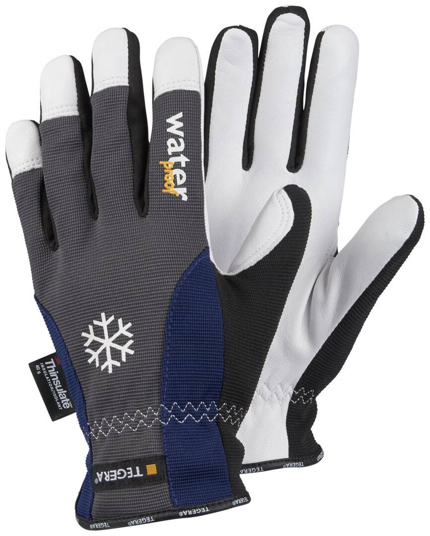 Gant 295