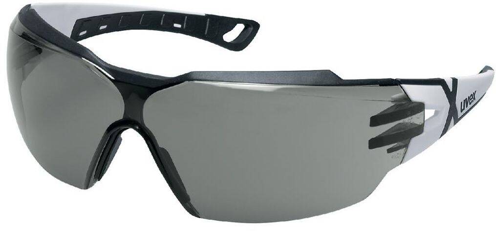 Lunette de protection Pheos CX2